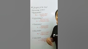 #6 Question of the Day | Interview Series | Lamiya Naseem #shorts