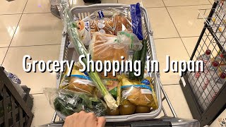 summary of shopping trips in Japan for August