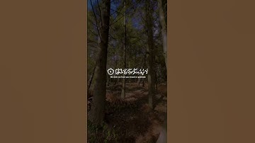 ويطعمون الطعام على حبه مسكينا ويتيما وأسيرا - القارئ اسلام صبحي - سورة الانسان #قرآن_كريم #اكسبلور
