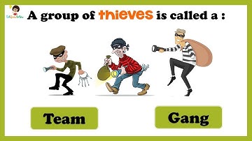 Collective noun Quiz-2 | GK Questions | LilQuizWhiz