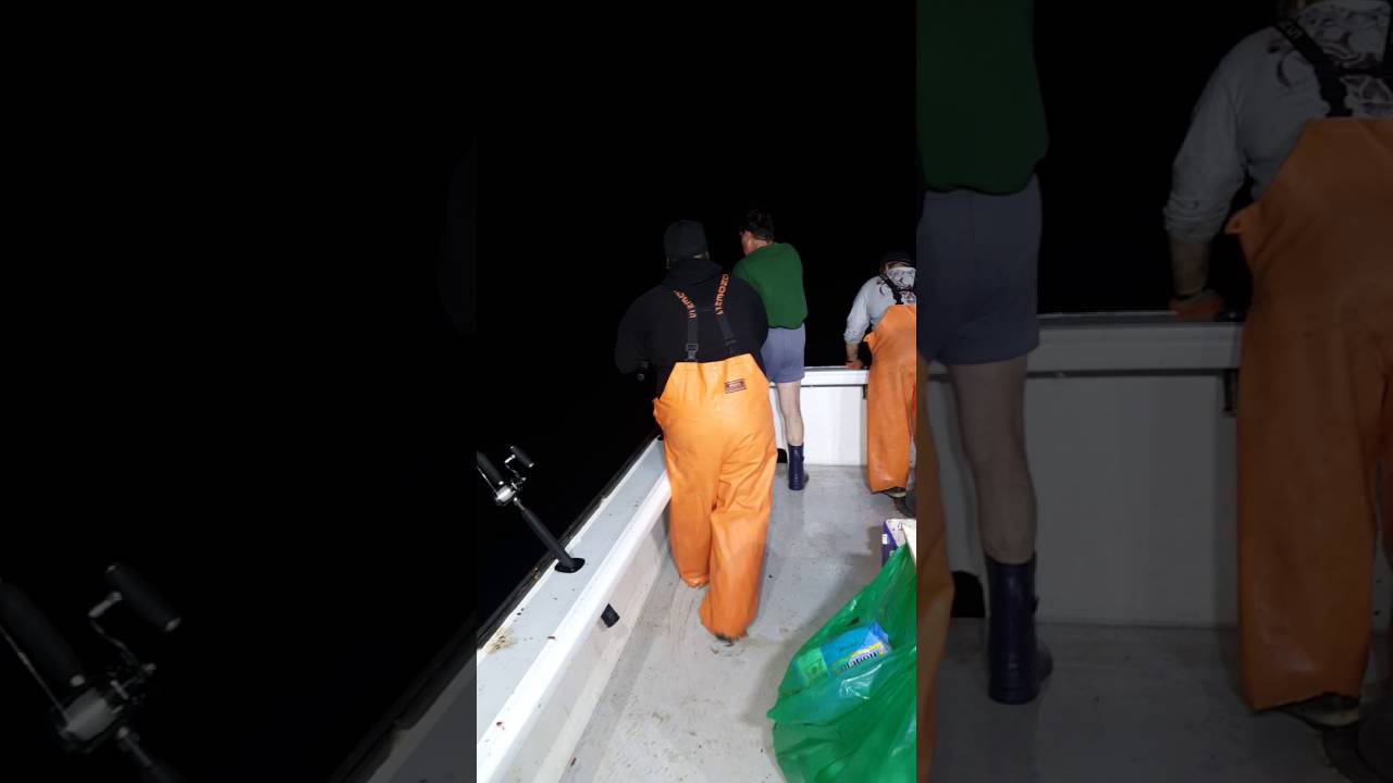Sound Bound Charters Fall Nights Fishing YouTube