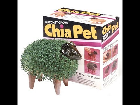 Chia Pet Baby Yoda - March 2021, OK - This is excellent. Te…