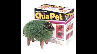 Our Chia Pet TV commercial in 1984