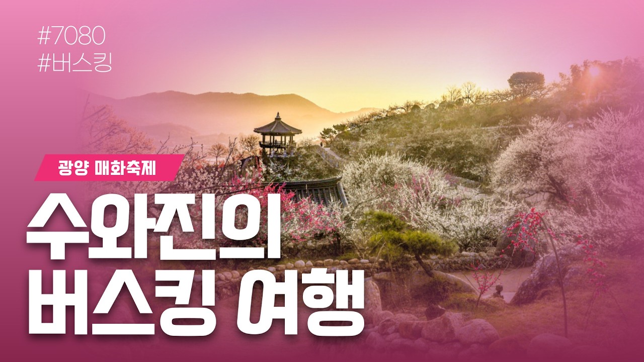 [수와진의 버스킹 여행] 광양 매화마을 매화축제 (2026.3. 1) 3.1 절입니다~ 봄이 찾아오는 광양 매화 마을에서 좋은 추억 만들어 가시기 바랍니다~~