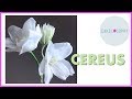 CEREUS Flower: Making Life-Like Flowers out of Cold Porcelain or Gumpaste 2020