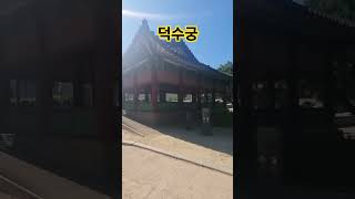 덕수궁 #덕수궁 #덕수궁데이트 #deoksugung #palace #deoksugungpalace #seoulpalace #koreatravel #visitseoul #vlog