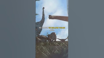 The Rise and Fall of Dinosaurs: Exploring Earth