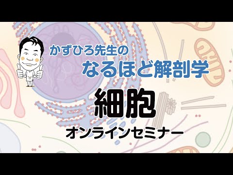 【なるほど解剖学】細胞