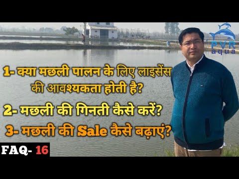 वीडियो: क्या आपको पालतू मछली बेचने के लिए लाइसेंस की आवश्यकता है?