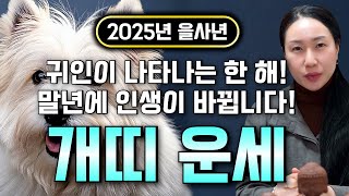 ✨2025년 경사나는 을사년 개띠운세✨말년에 인생이 바뀐다! 2025년 금전,귀인,문서운 한번에 다 들어온다…