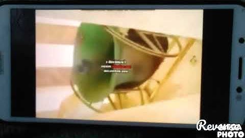 Preview 2 Bell, BFDI, 2b, 2d, V3, 2f in Reversed