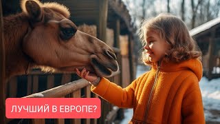 ДИПРИЗ Парк животных 😍 Барановичи май 2023 контактный зоопарк