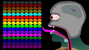 The Team Eliminations Marble Race ASRM #259 in Algodoo