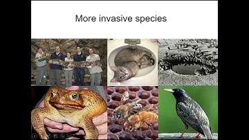 Chapter 20 Communities and Ecosystems