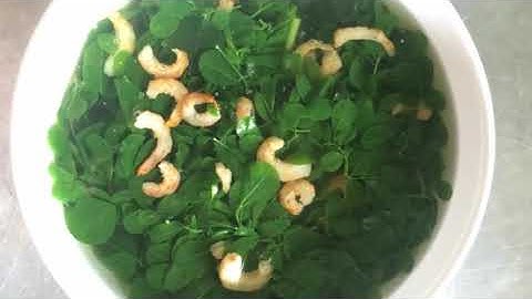 Cách chế biến món ăn từ RAU CHÙM NGÂY, công dụng của RAU CHÙM NGÂY