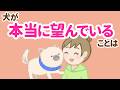 【後悔する前に】愛犬が本当に望んでいる7つのこと【犬雑学】