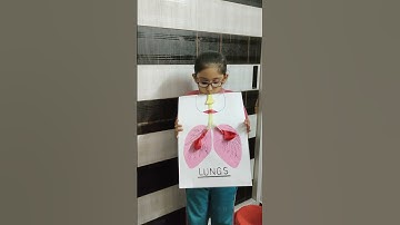 science holiday homework