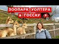 Зоопарк Уолтера в городе Госсау, кантон СанктГаллен, Швейцария. Аренда пауэрбанка. Gossau,Walter Zoo