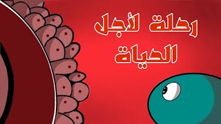 رحلة الحيوان المنوي: كيف يصل إلى البويضة؟ | بسن القلم