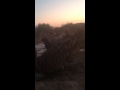 ميراد الغطاط