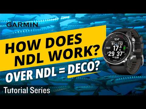 Tutorial - NDL Isn't Just About Depth｜How Your Dive Computer Really Calculates NDL