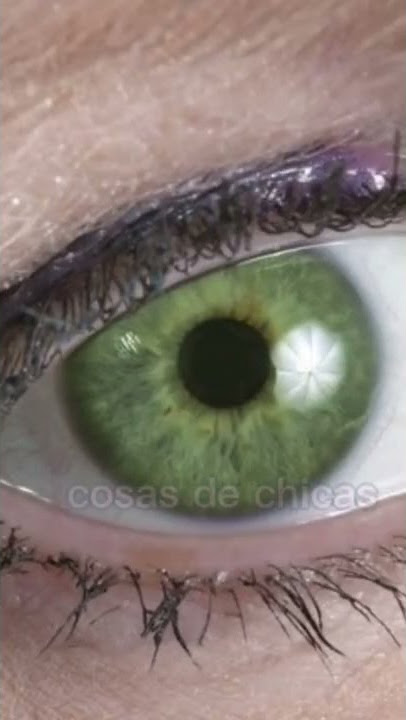 ☁︎Colores de ojos mas bonitos y raros del mundo☁︎