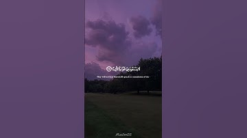 تلاوة هادئة بصوت ياسر الدوسري💜 #ياسر_الدوسري #تلاوة_هادئة