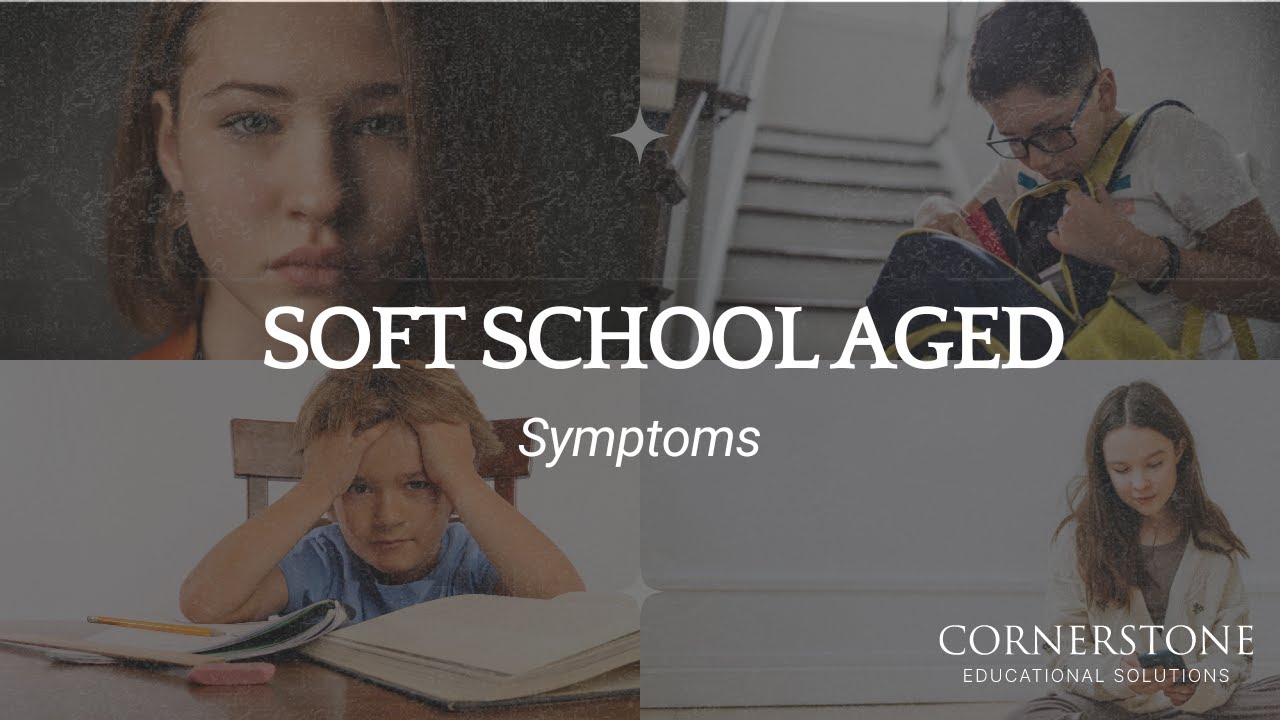 ADHD Executive Functioning Assessment - Cornerstone Educational Solutions