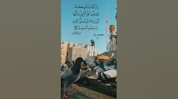 ﴿إِنَّ اللَّهَ وَمَلائِكَتَهُ يُصَلّونَ عَلَى النَّبِيِّ﴾ ﷺ || القارئ : #عبدالله_الموسى🕊️🖤.