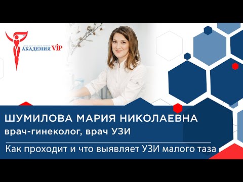 УЗИ малого таза:как проходит процедура и как подготовиться к УЗИ? Виды УЗИ малого таза