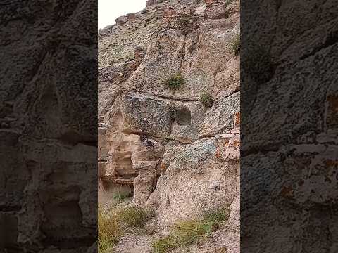 بعد از این همه رمزگشایی موقع برداشت محصوله یعنی دفینه نماد سنگ جوغن آموزش زیرخاکی گنج قبر