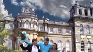 Djani Studios S Nov Klip Za 2017