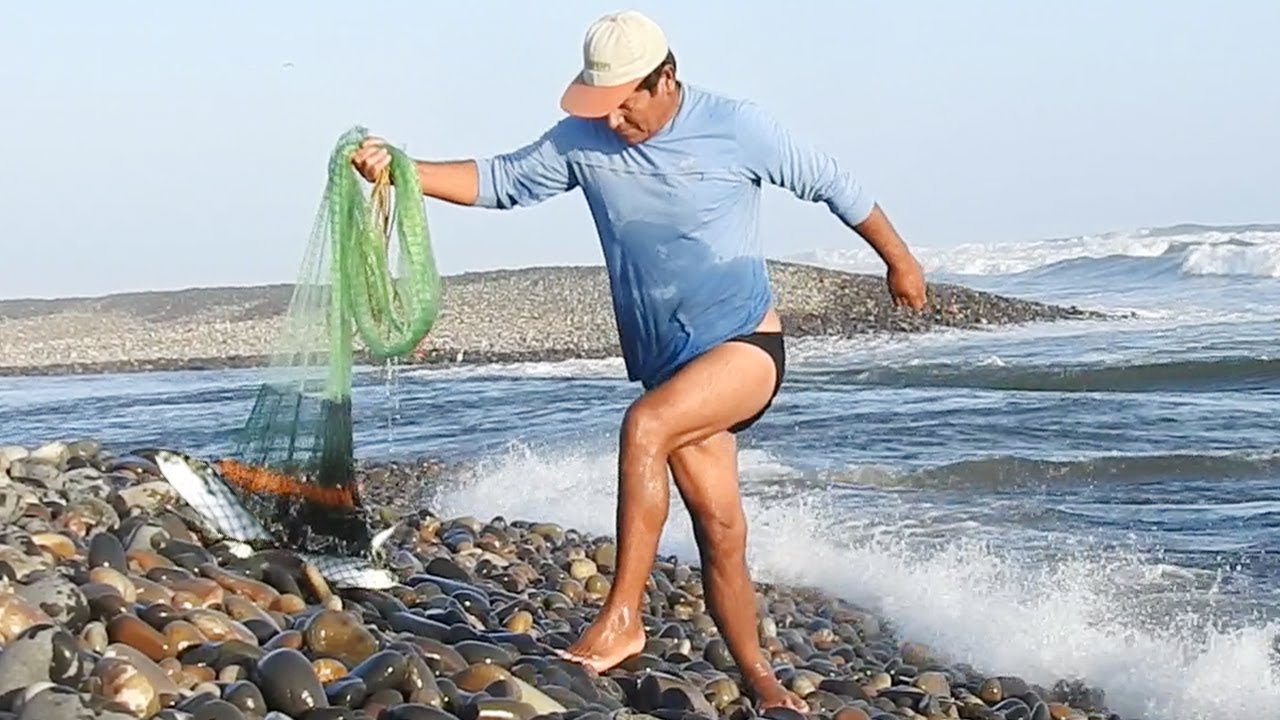 películas Infantil problema pesca con tarraya Mexico pluma