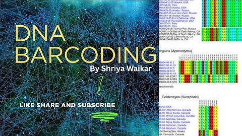 What is DNA barcoding? It