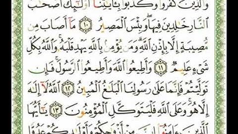 064 - سورة التغابن - ناصر القطامي.flv