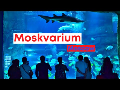 Video: Moskou Oceanarium bij VDNKh: beschrijving, openingstijden en bezoekersrecensies