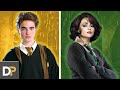 Harry Potter: La Casa Más Poderosa