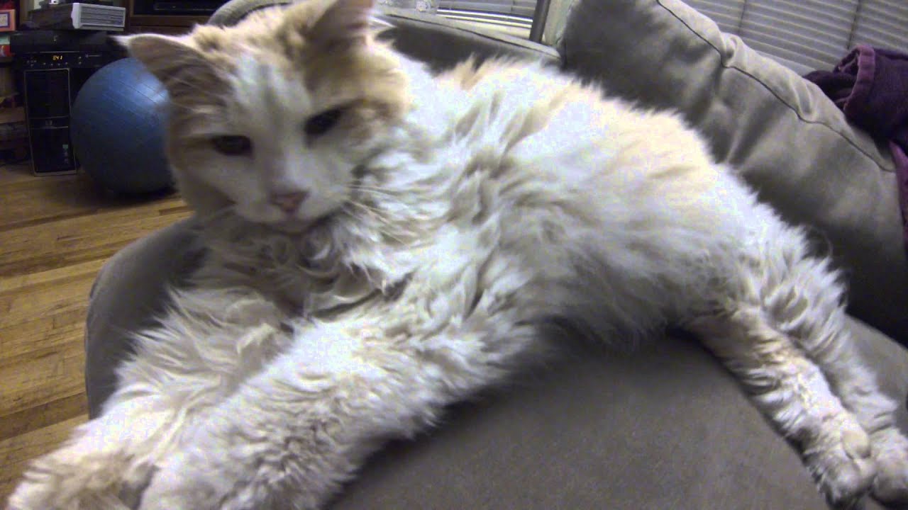 Fix Choppy GoPro Video YouTube