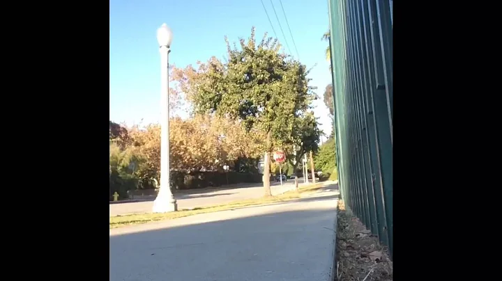 Bellyskating