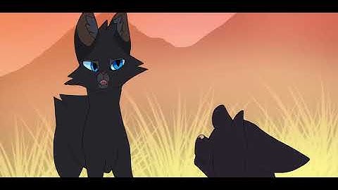 Change your mind crowfeather and breezepelt MAP part 4