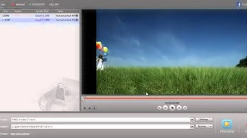 Choosing the Best Video Format of Device Preset with Movavi Video Converter 11
