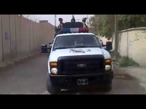 فوج العقرب الرد السريع