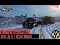 ATS 1.39 - Grimes heavy winter in Chihuahua, Mexico