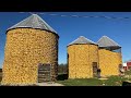 Picking Corn