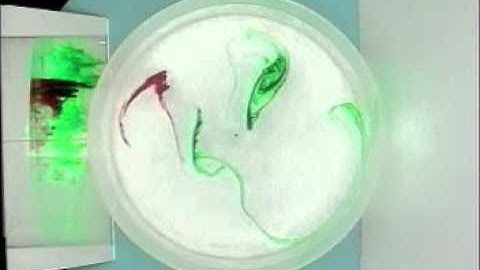 Experiment 0: Rotating Fluids