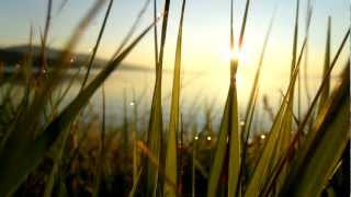 Slow Magic // Sorry Safari