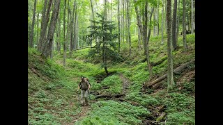 Susquehannock Trail (Thru-Hike)