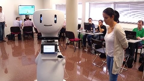 AS Personalised advertising and emotion detection with a robot that attracts possible clients