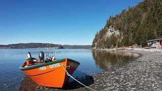 Come On A Newfoundland Boat Tour !!! In A Dory!!