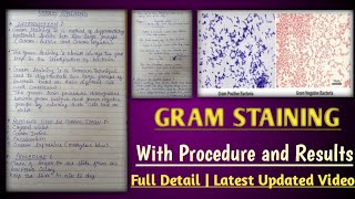 Gram Staining | gram Staining procedure | gram Staining in hindi
